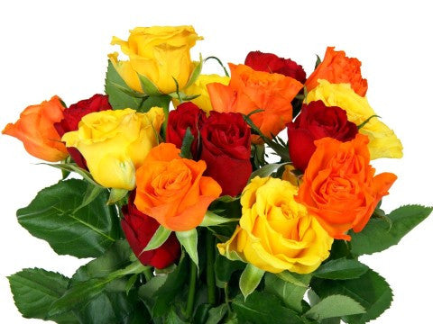 a perfect gift of multicolored roses