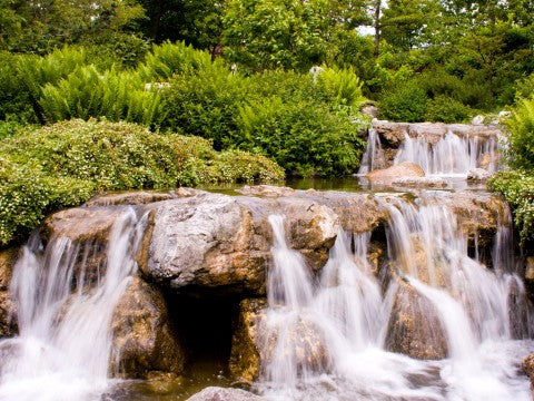 Life-Giving Water Part 2