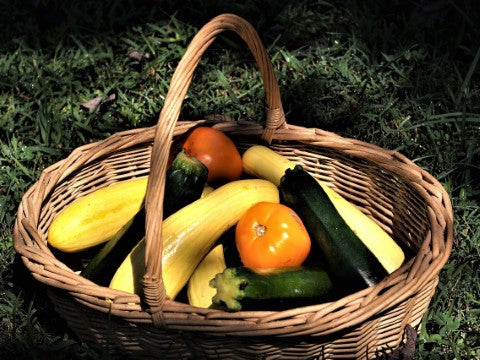 Let the flavors speak for themselves: A Zucchini Recipe