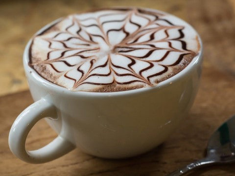 Coffeeology 101: Get Your Fix of Information!