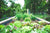 Growing With Your Garden