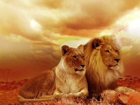 God Bless You Mighty Men of God!