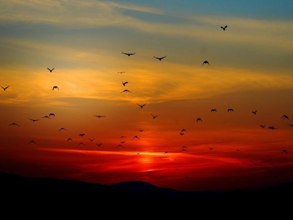 Why We’re More Thankful Than Most