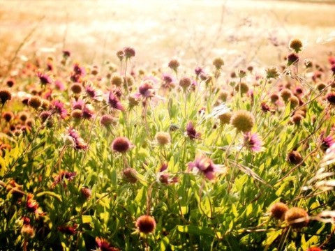 Bounce Back: You ARE Special